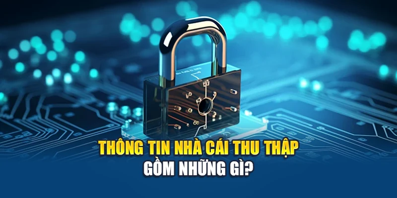 Thông tin nhà cái thu thập gồm những gì?
