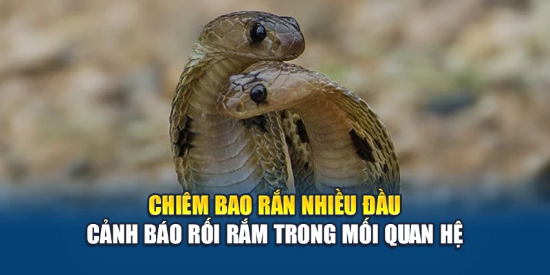 Chiêm bao rắn nhiều đầu cảnh báo rối rắm trong mối quan hệ