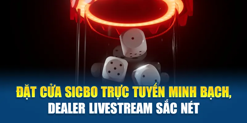 Đặt cửa Sicbo trực tuyến minh bạch, dealer livestream sắc nét