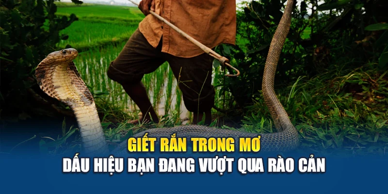 Giết rắn trong mơ dấu hiệu bạn đang vượt qua rào cản